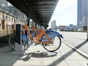 长春自行车爆料最新消息,揭秘城市绿色出行新动态 第2张 长春自行车爆料最新消息,揭秘城市绿色出行新动态 第2张